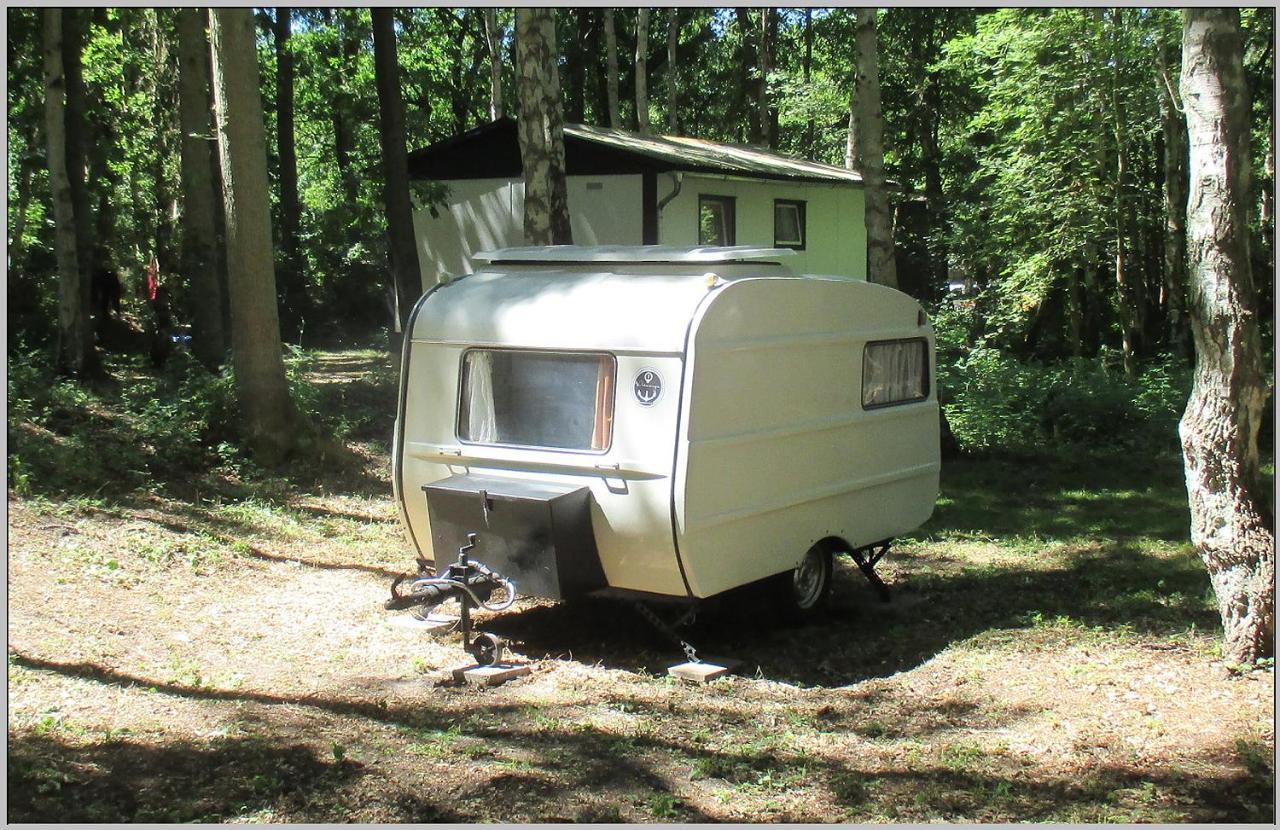 Ddr Wohnwagen Qek Direkt Am Strand Dranske Buitenkant foto